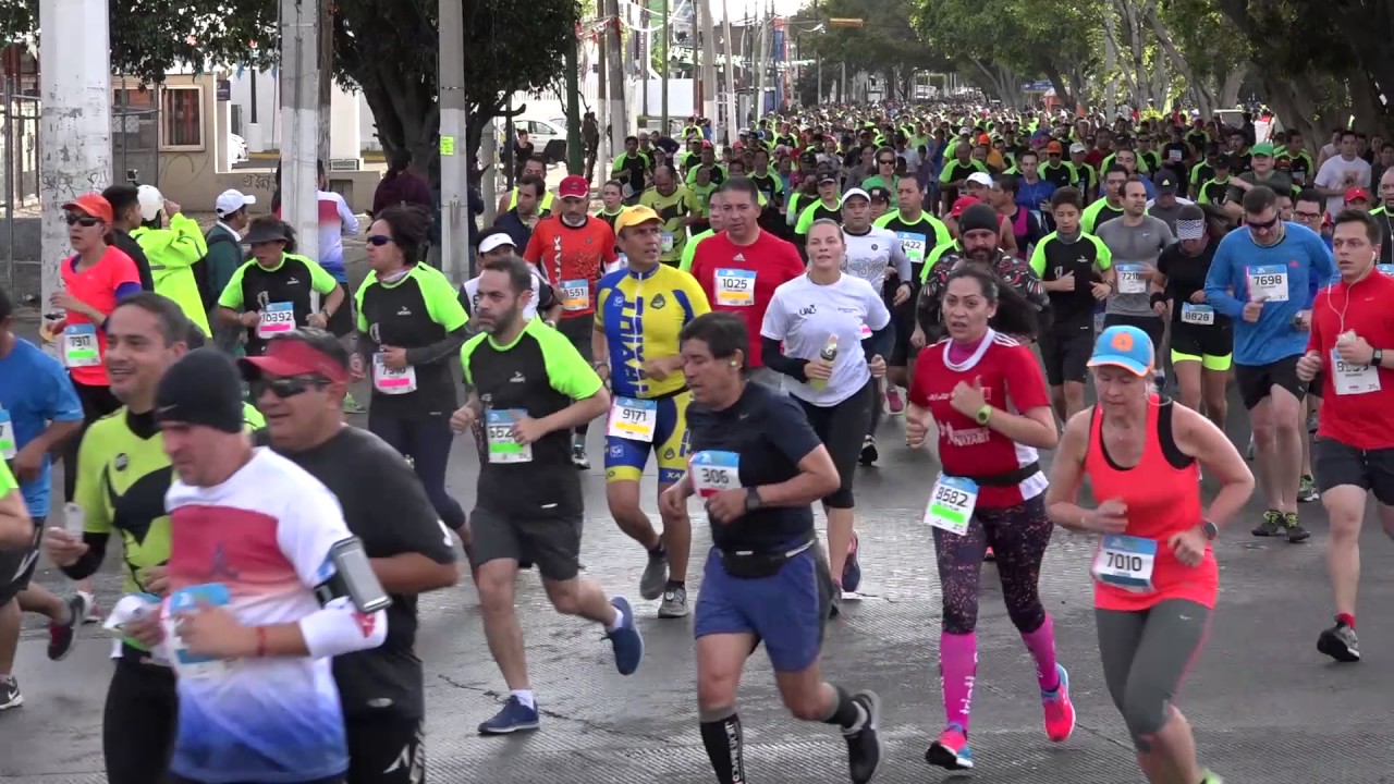 21k GDL Electrolit