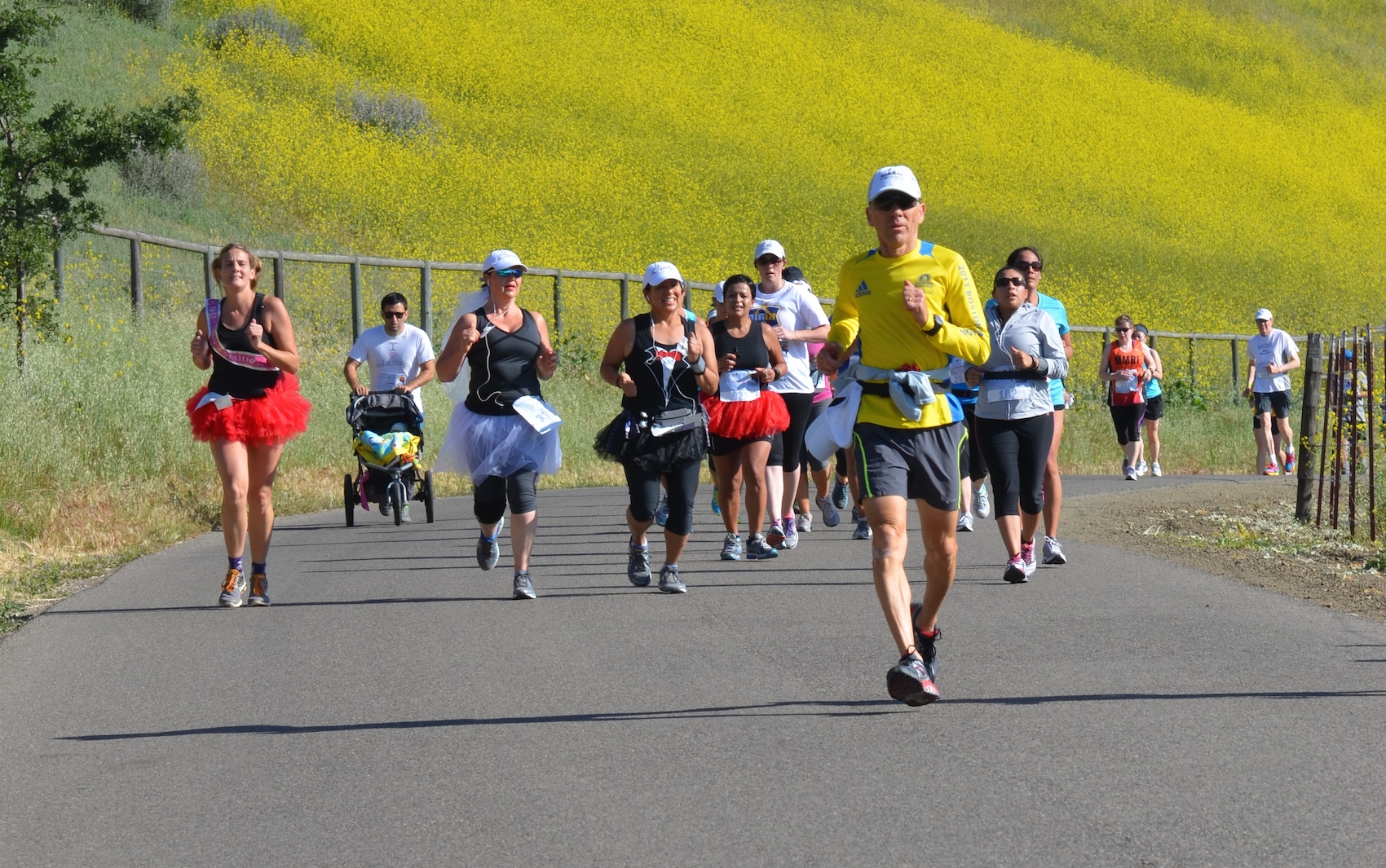 Santa Barbara Wine Country Half Marathon