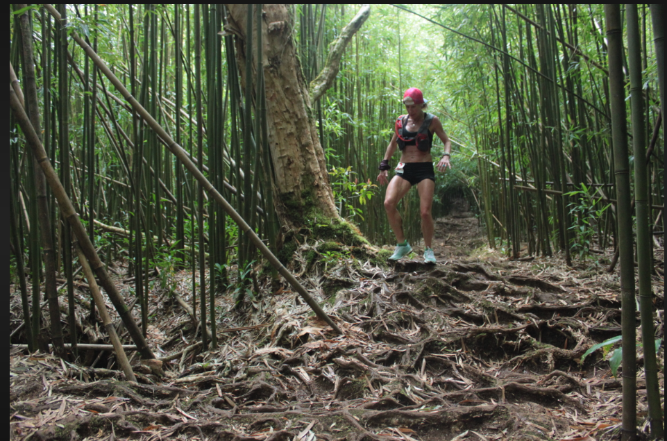 Hurt 100 Mile Endurance run