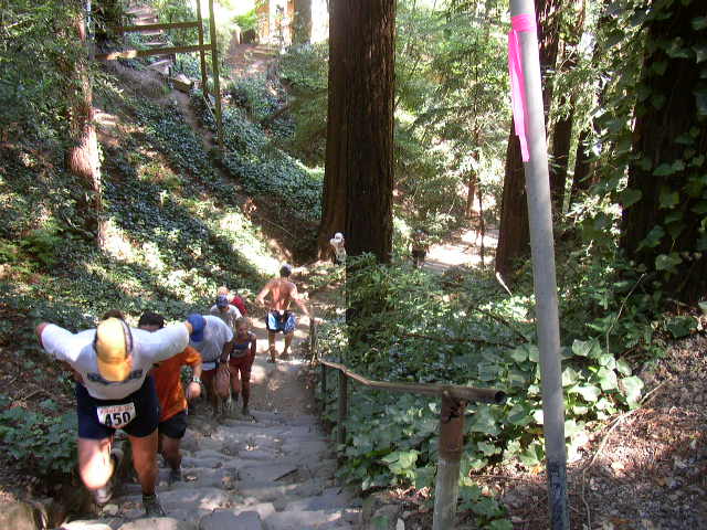 Double Dipsea 