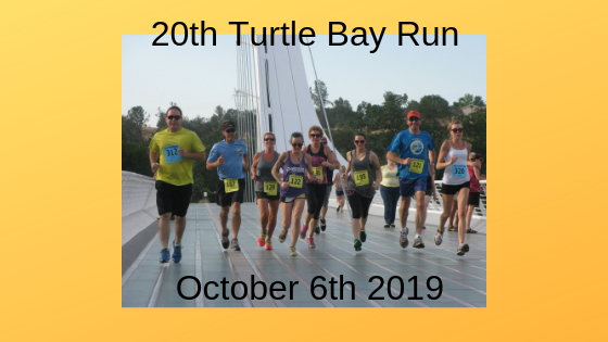 Lions Turtle Bay Run
