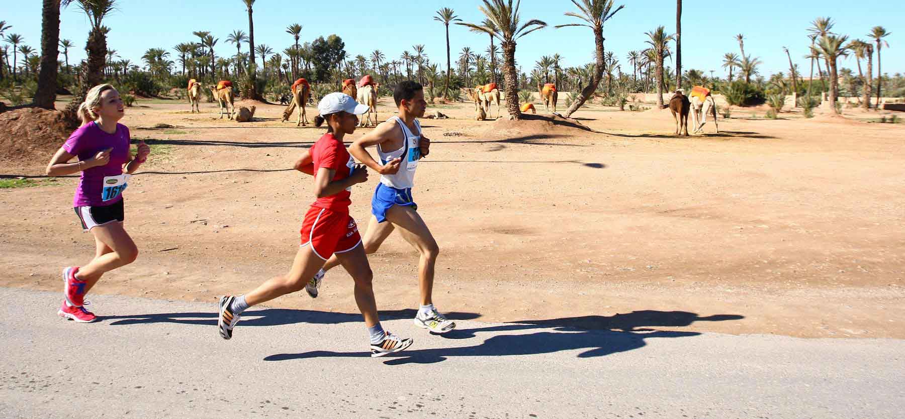 Marrakech Marathon