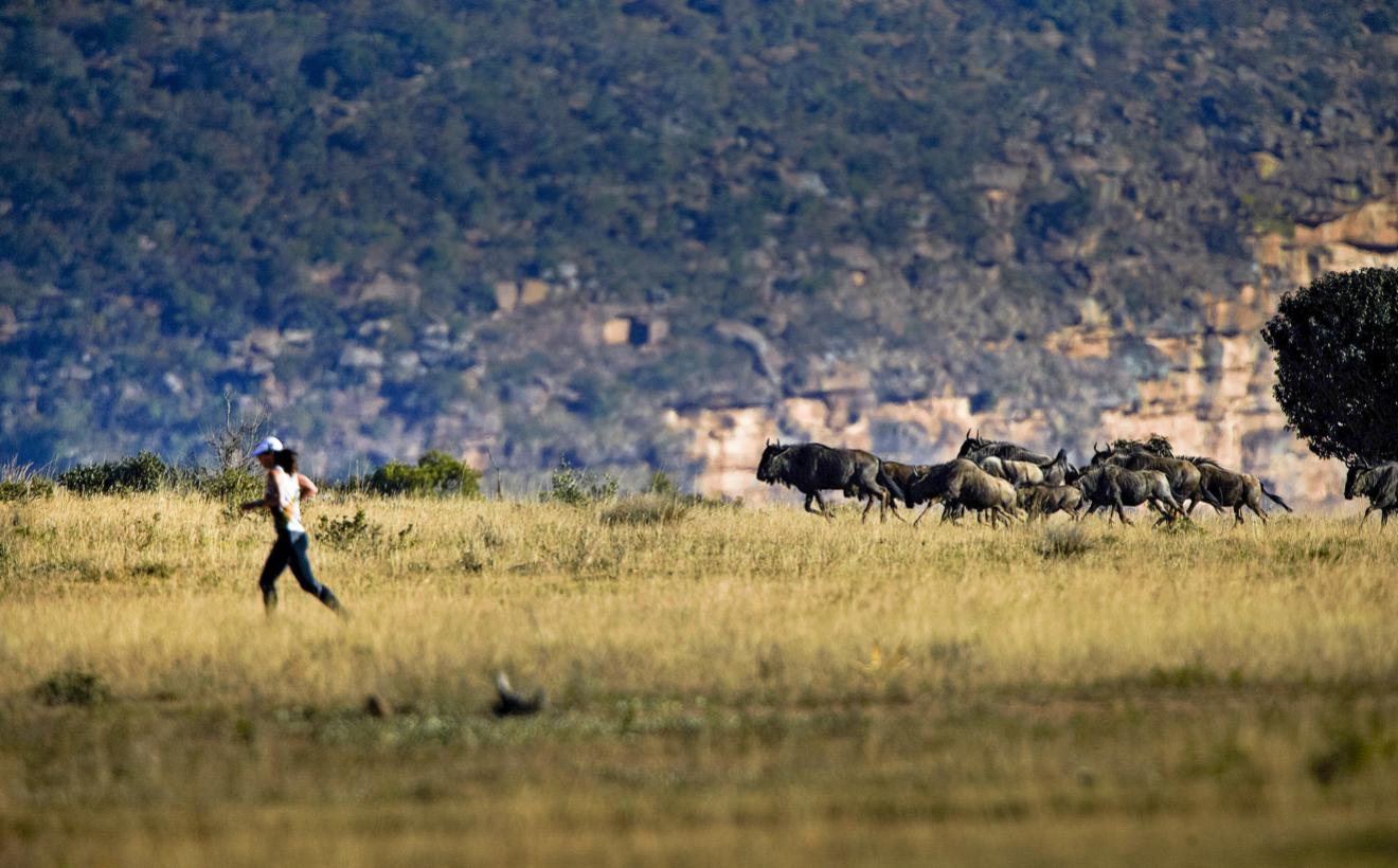 Big Five Marathon