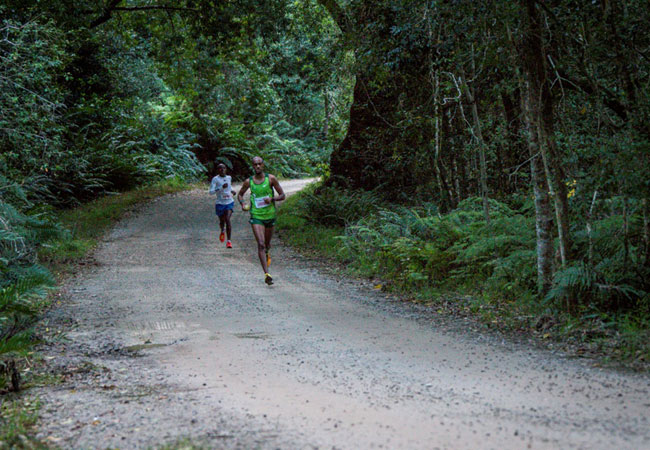 Knysna Forest Marathon