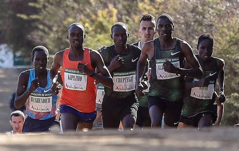Cross internacional de Italica