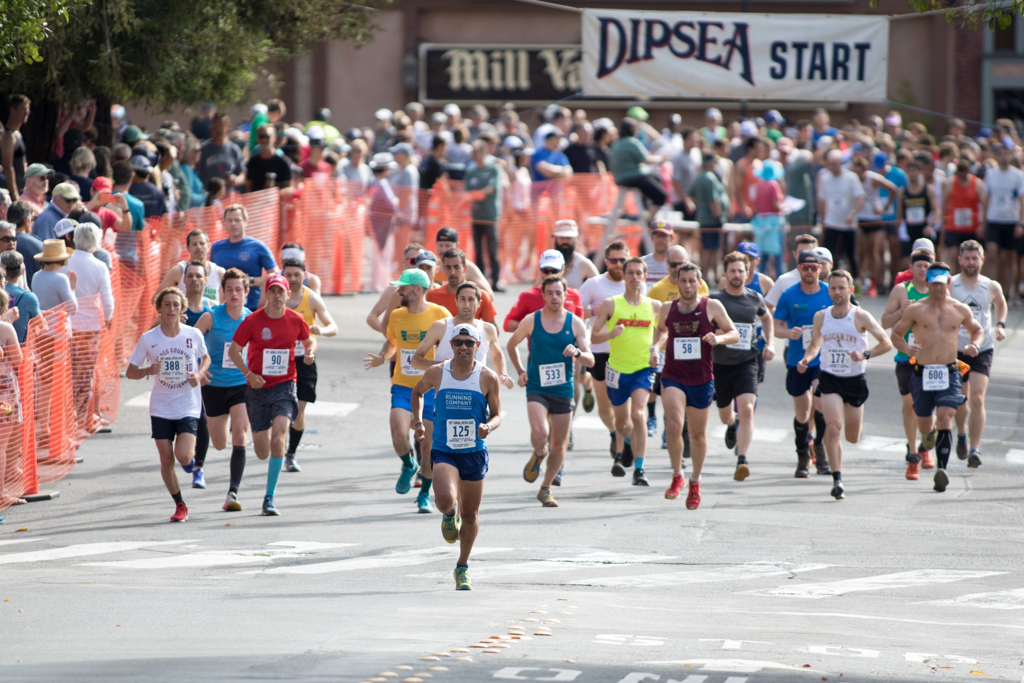 The Dipsea Race