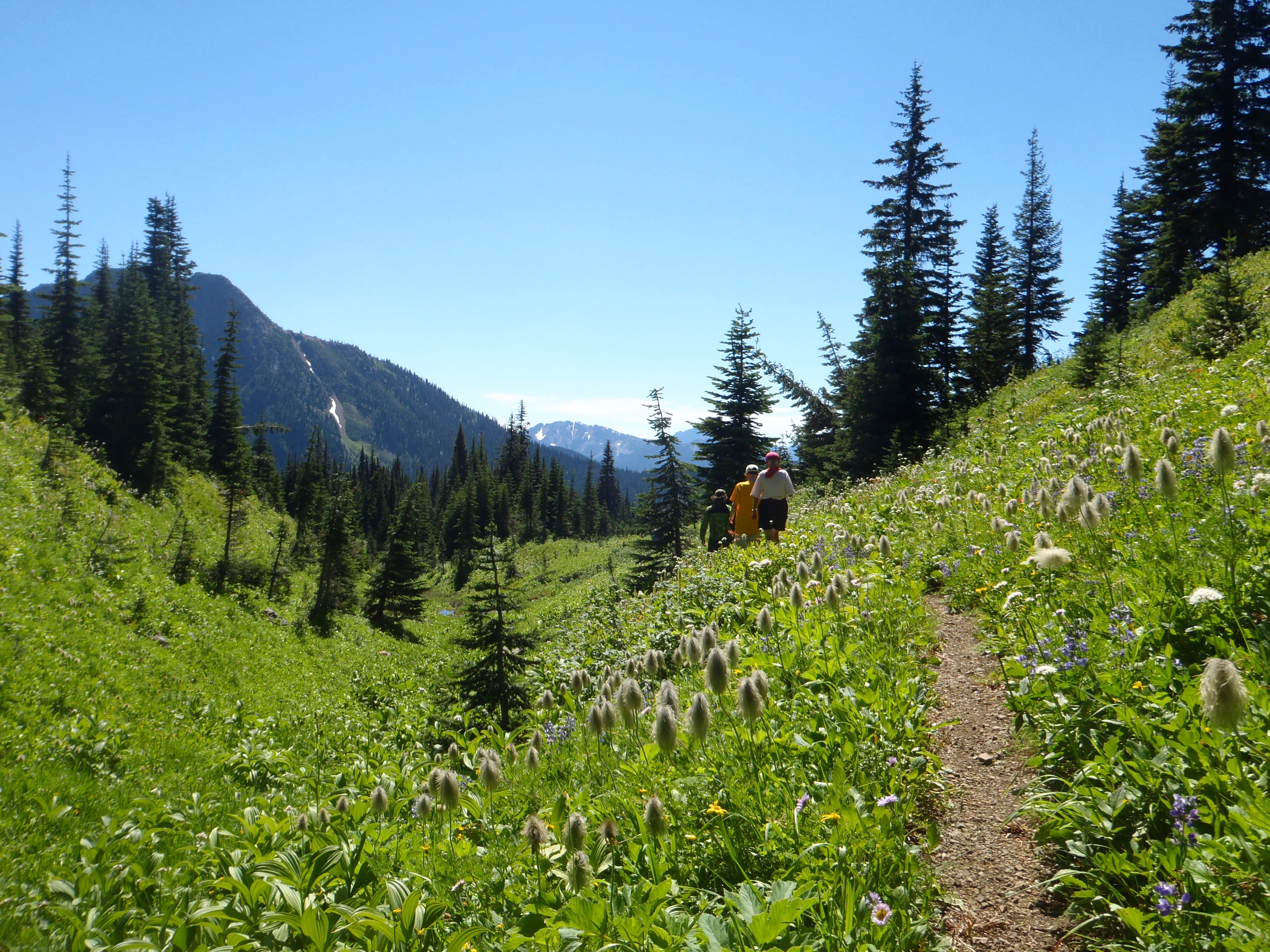 Fat Dog 120 Trail Race 
