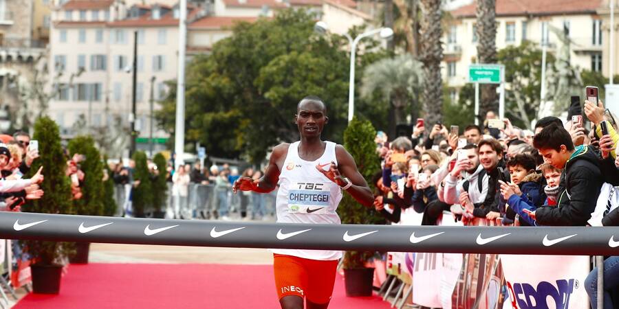 Le Semi De Cannes