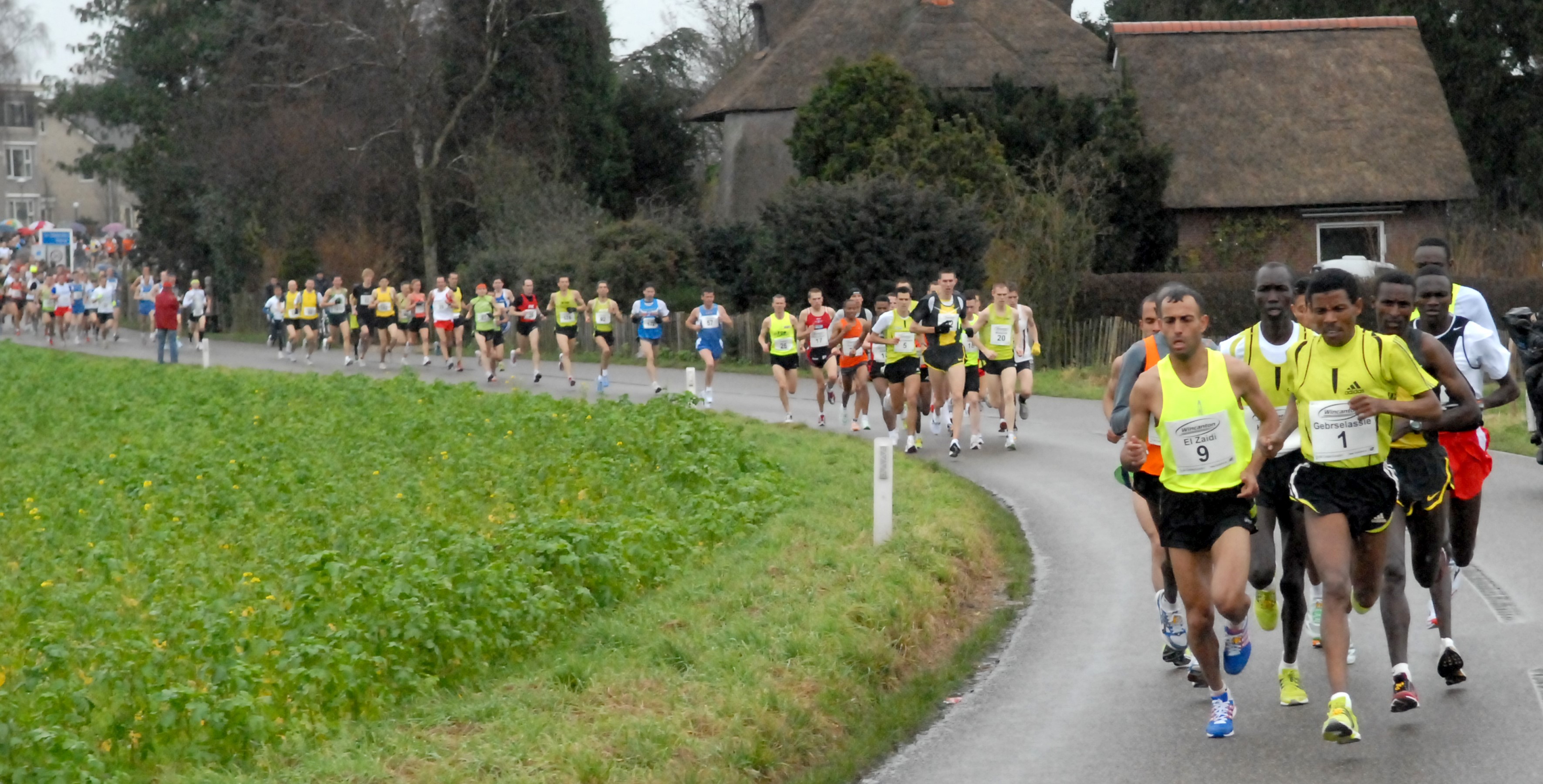 Montferland 15k