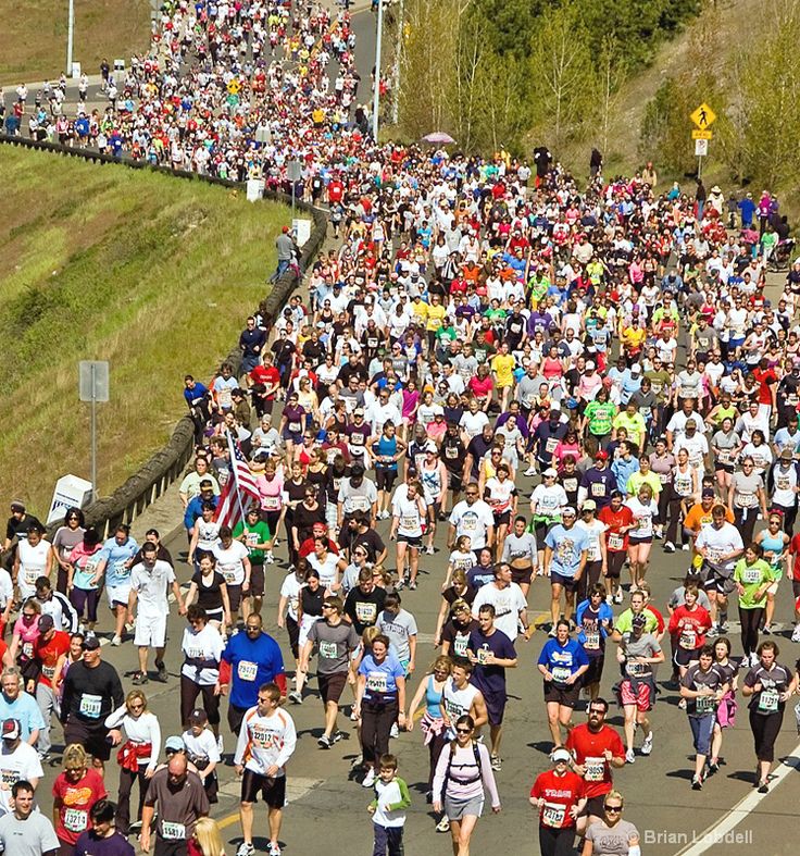 Lilac Bloomsday 12K